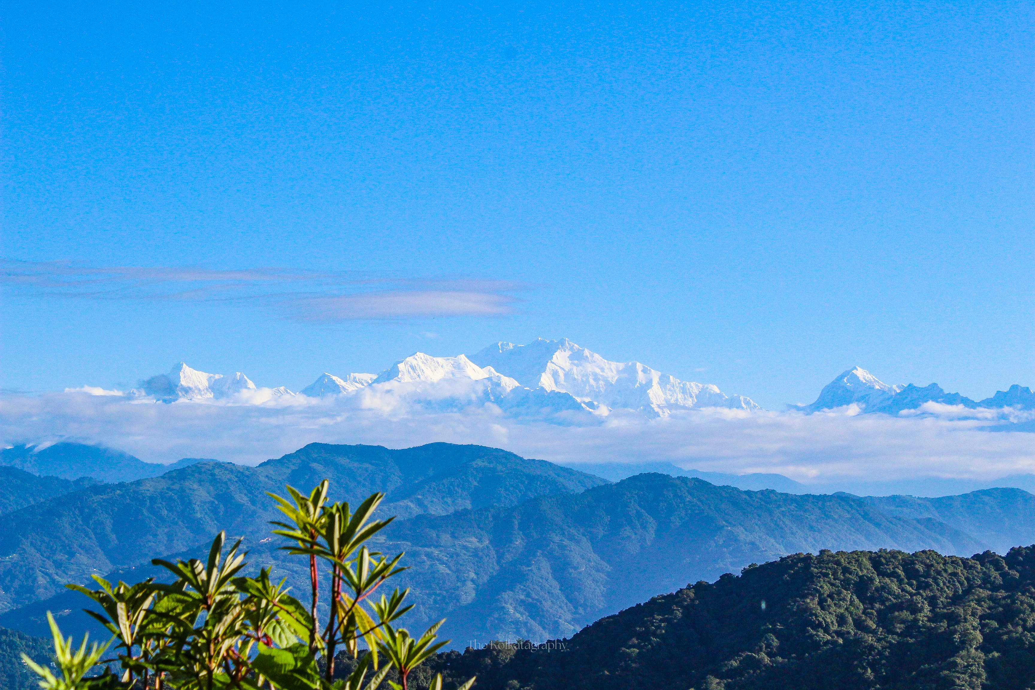 SIKKIM - DARJEELING TRIP : 7 Nights /8 Days - Gangtok | Pelling | Darjeeling